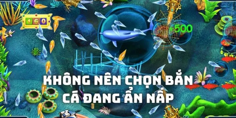 Đừng nên ngắm vào những sinh vật đang ẩn nấp